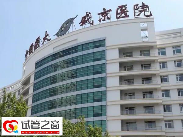 沈阳一代试管机构名单